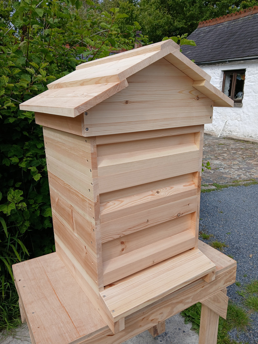 National beehive Pine