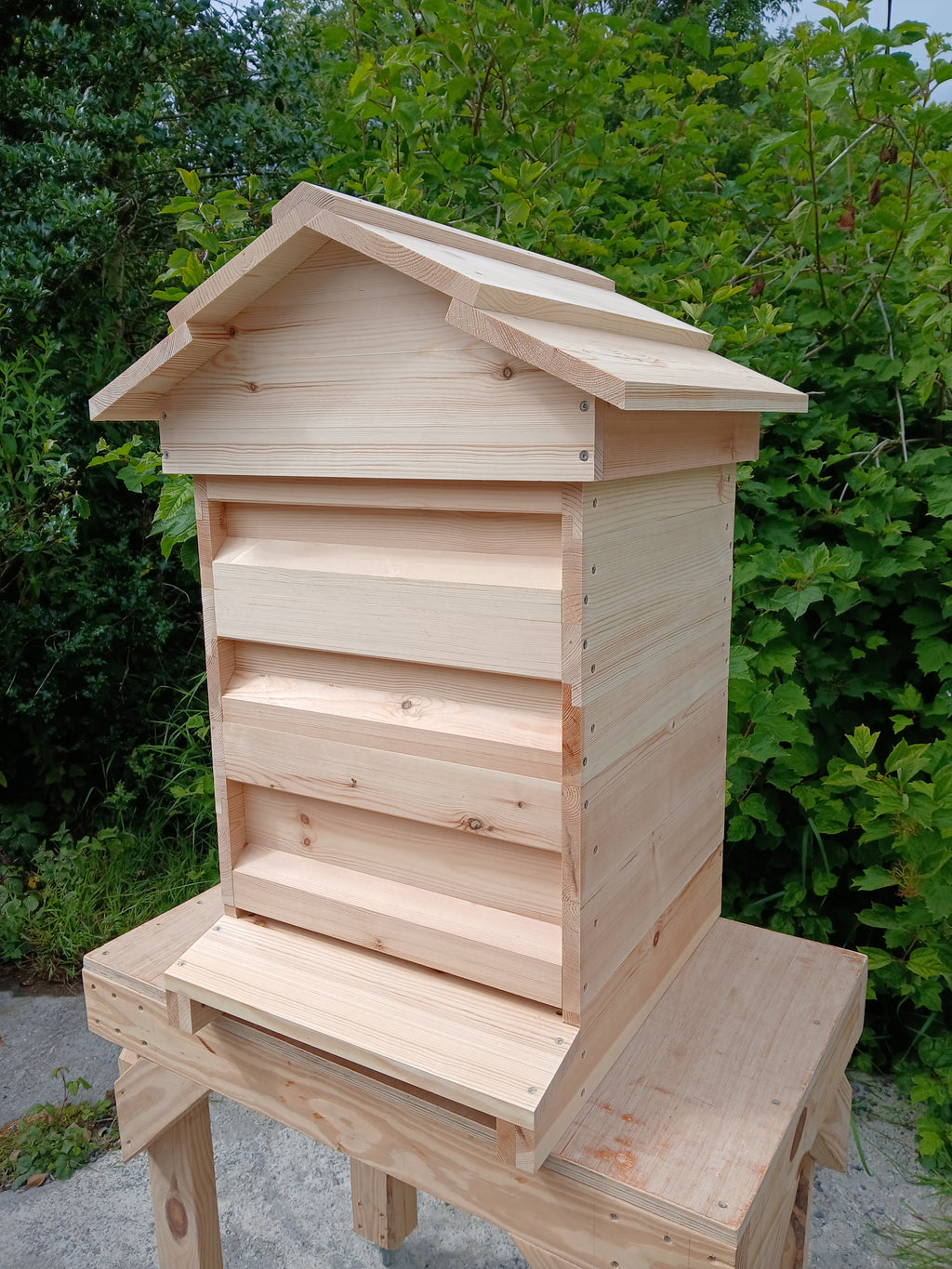 National beehive Pine