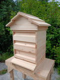 National beehive Pine