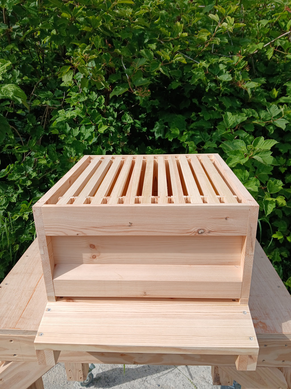 National beehive Pine