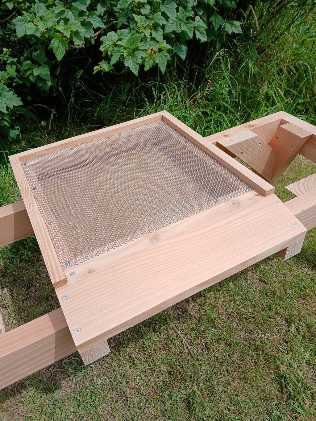 National beehive douglas fir