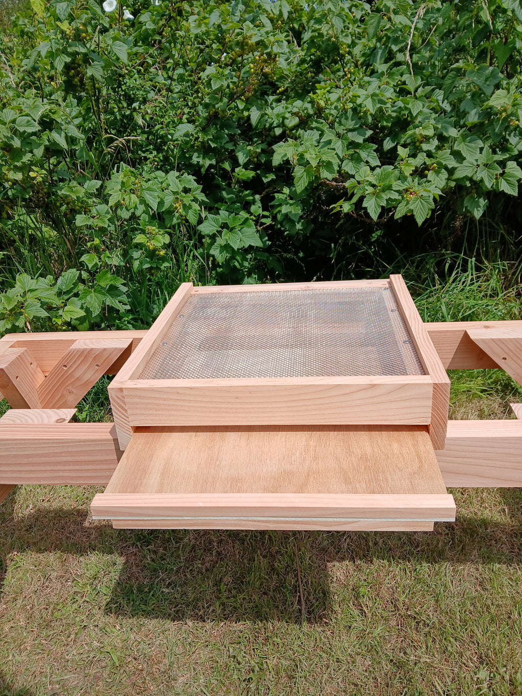 National beehive douglas fir