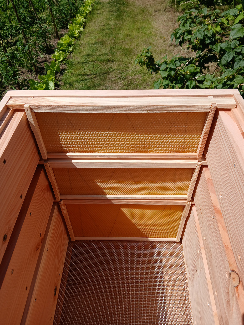 National beehive douglas fir