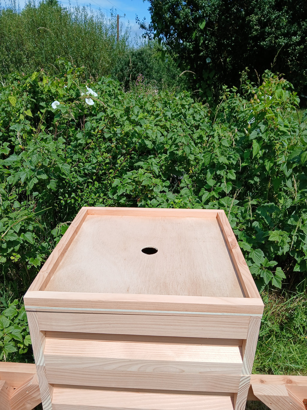 National beehive douglas fir