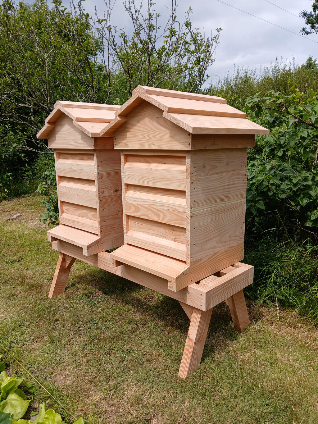 National beehive douglas fir