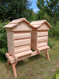 National beehive douglas fir