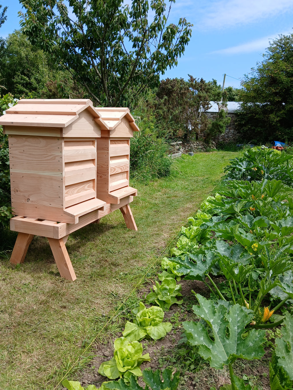 National beehive douglas fir