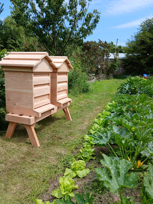 National beehive douglas fir