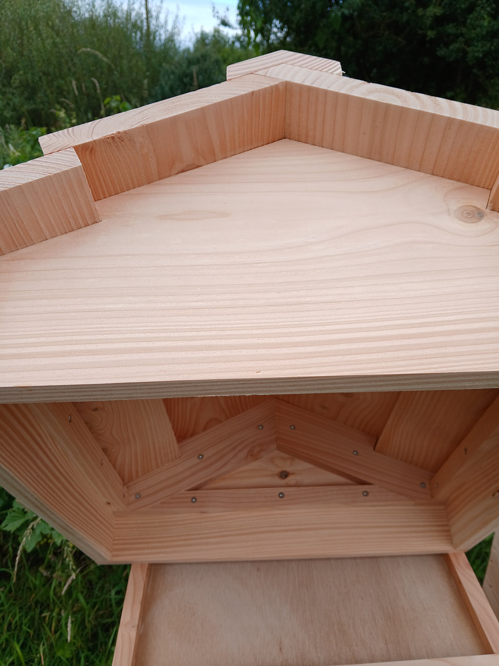 National beehive douglas fir