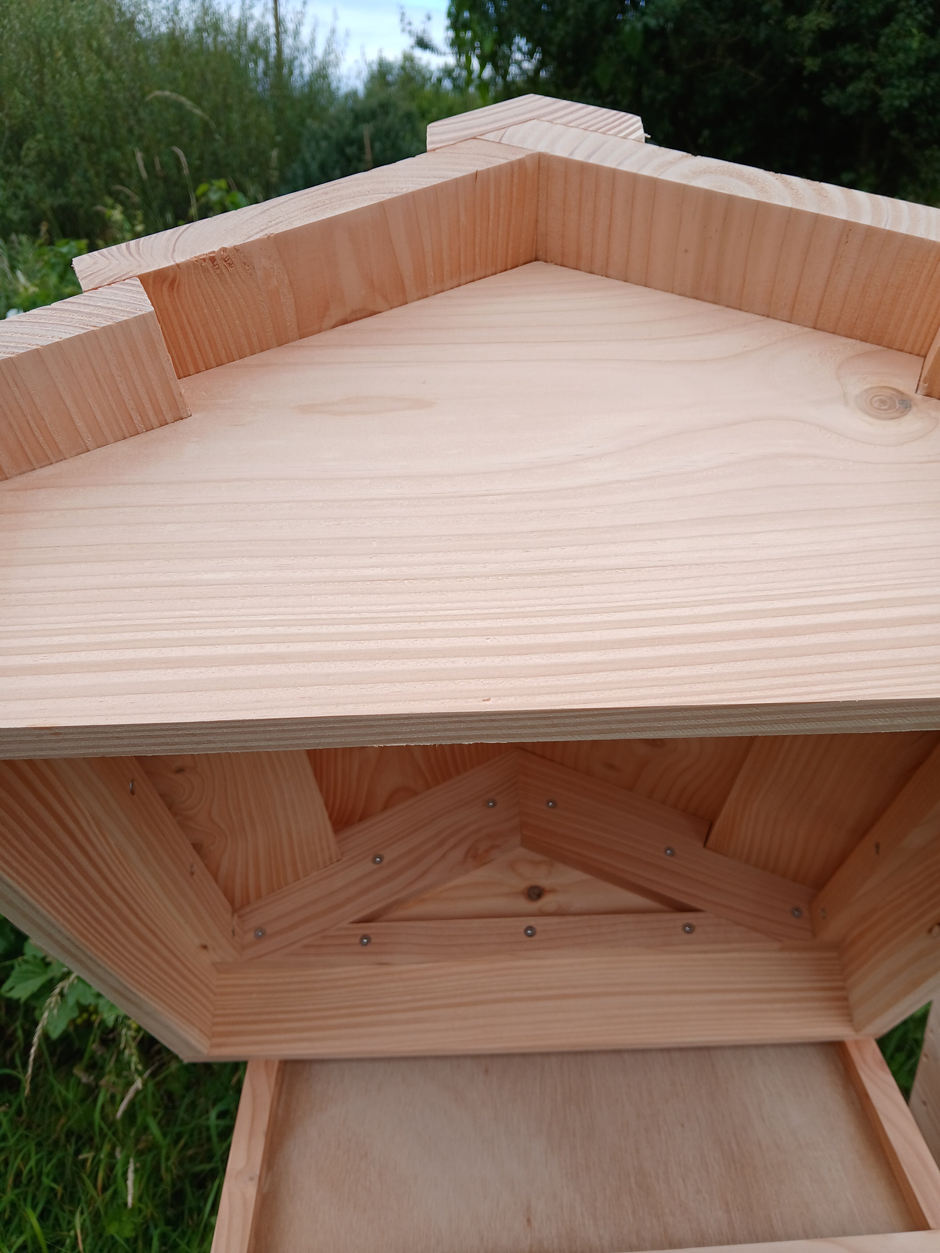 National beehive douglas fir