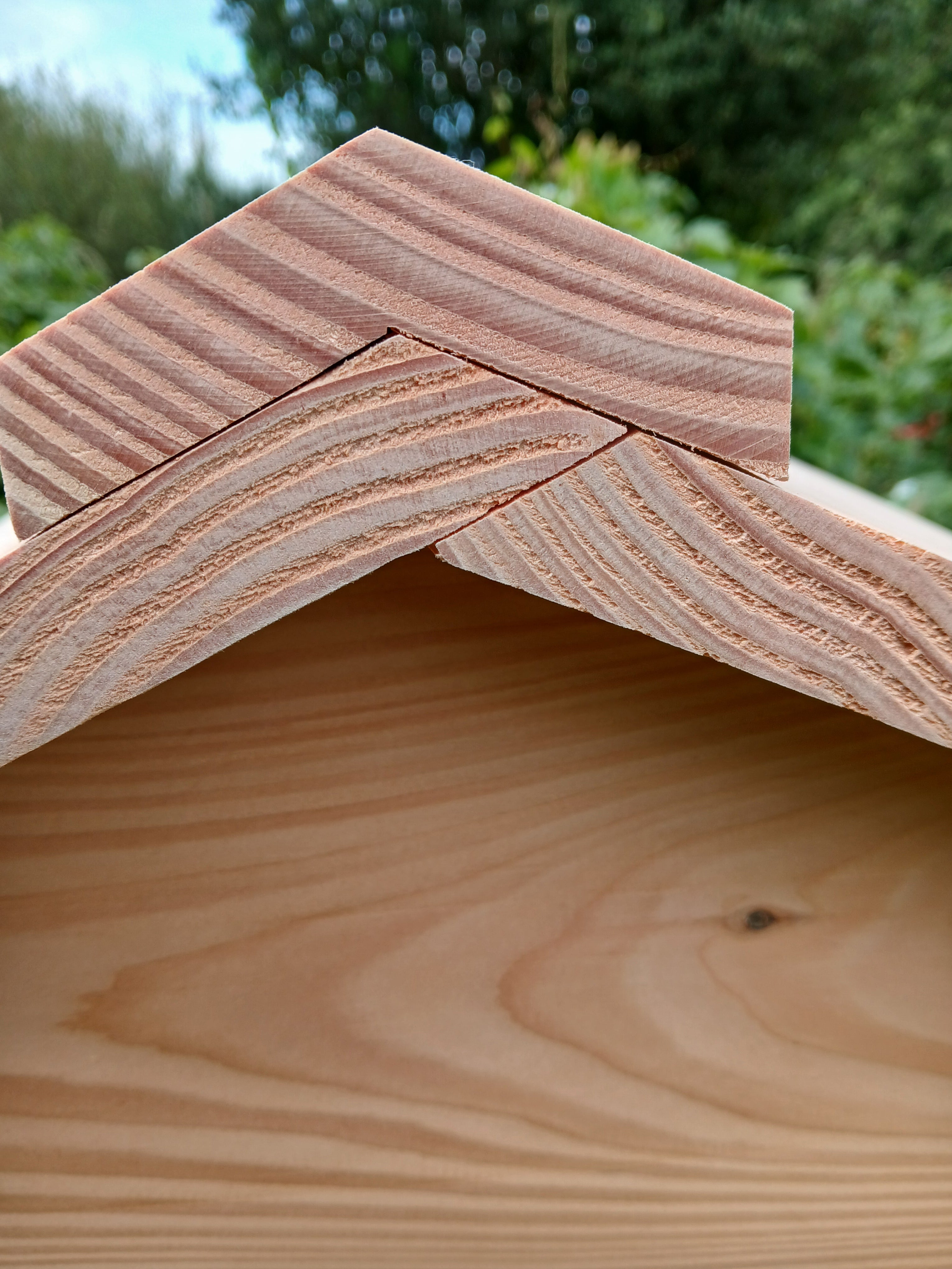 National beehive douglas fir