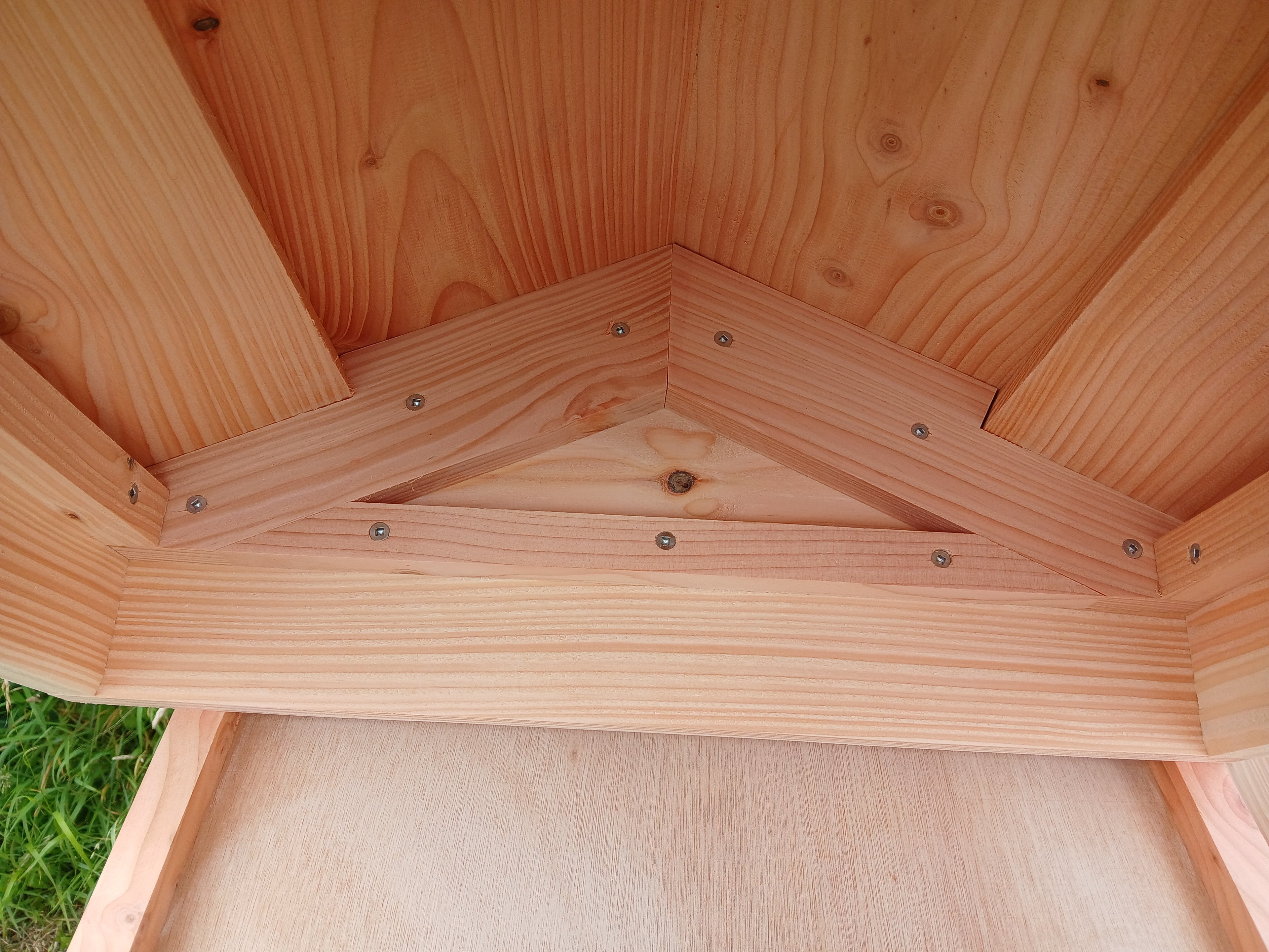 National beehive douglas fir