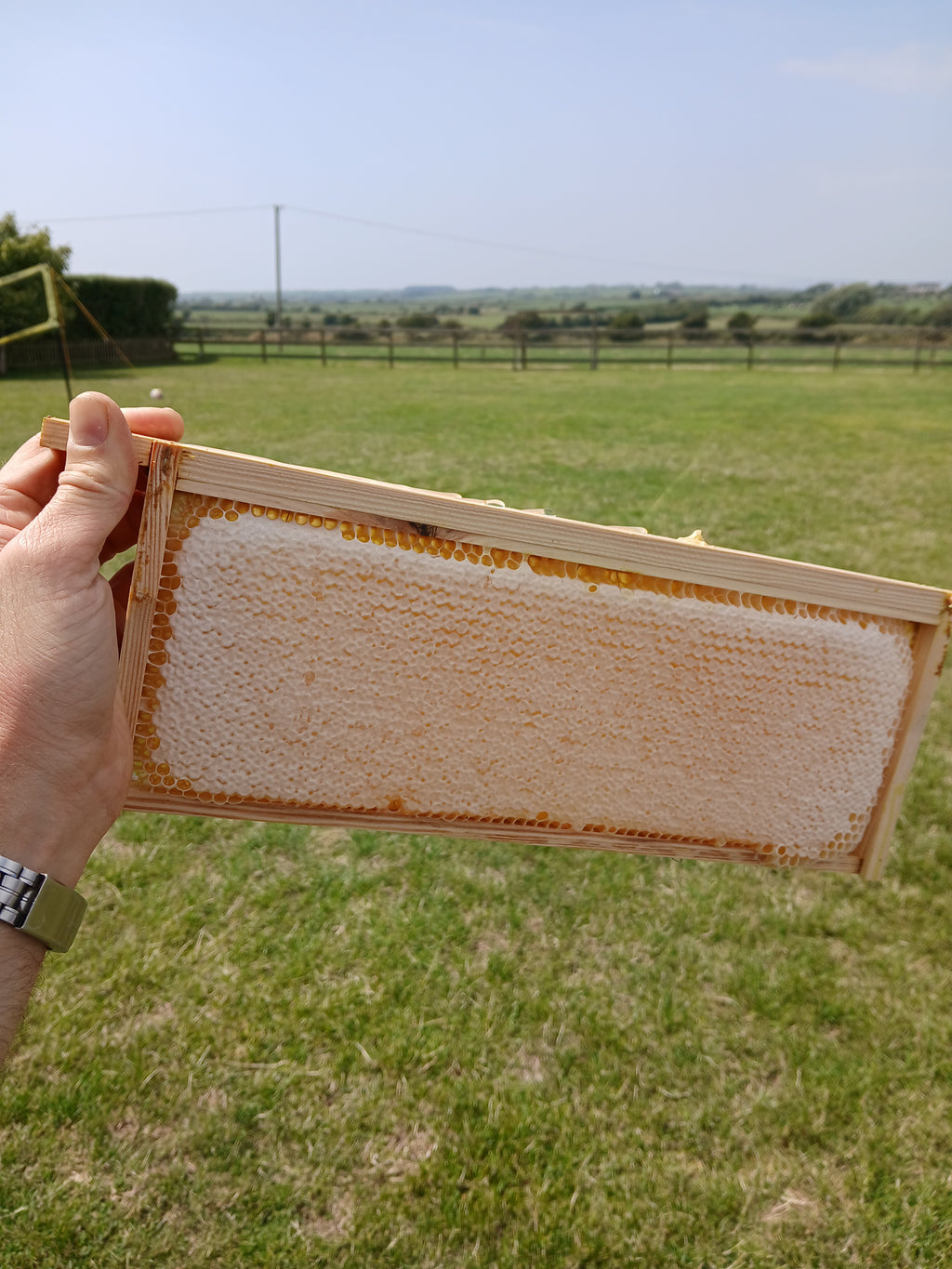 Natural Irish honey