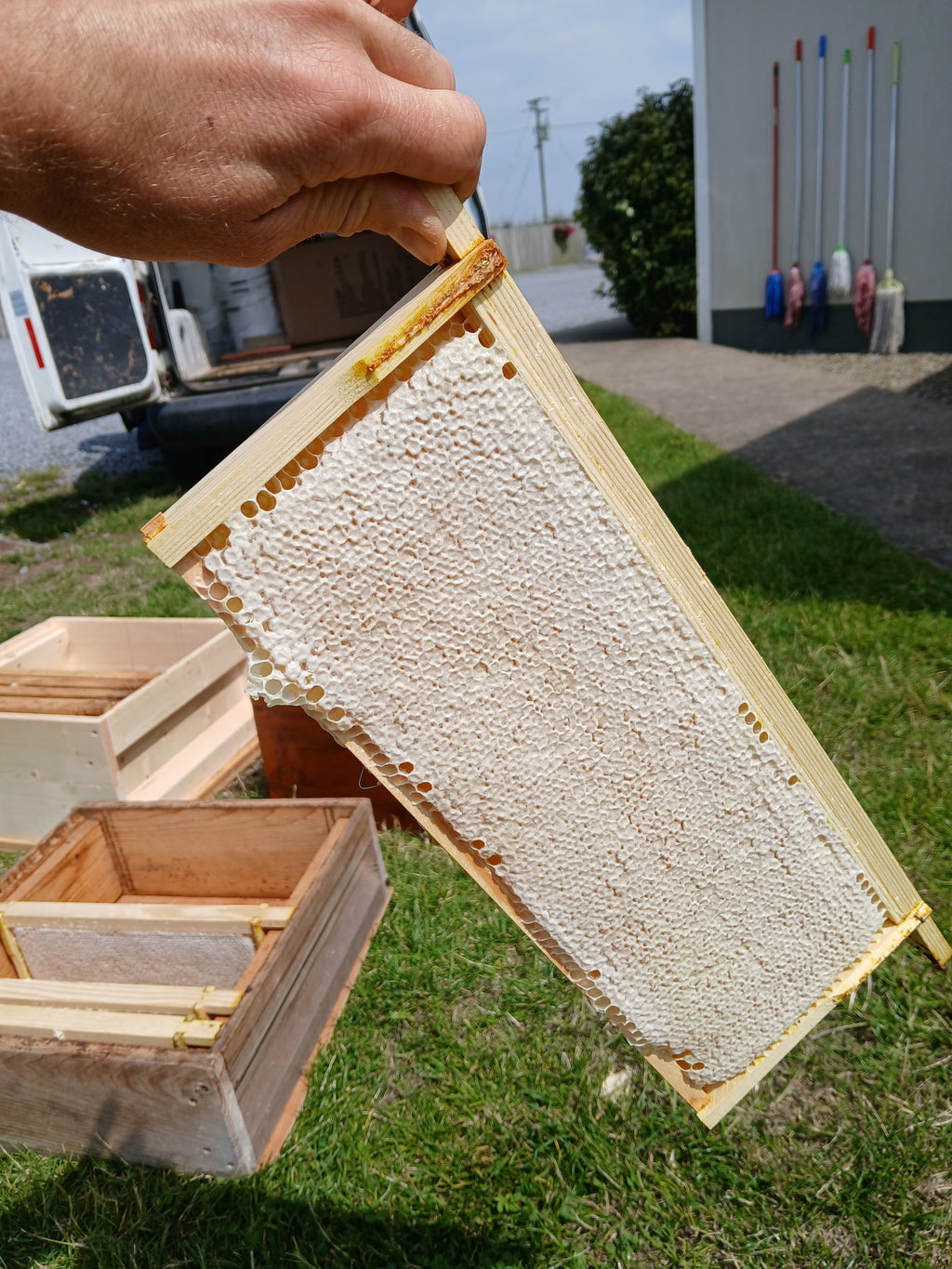 Natural Irish honey