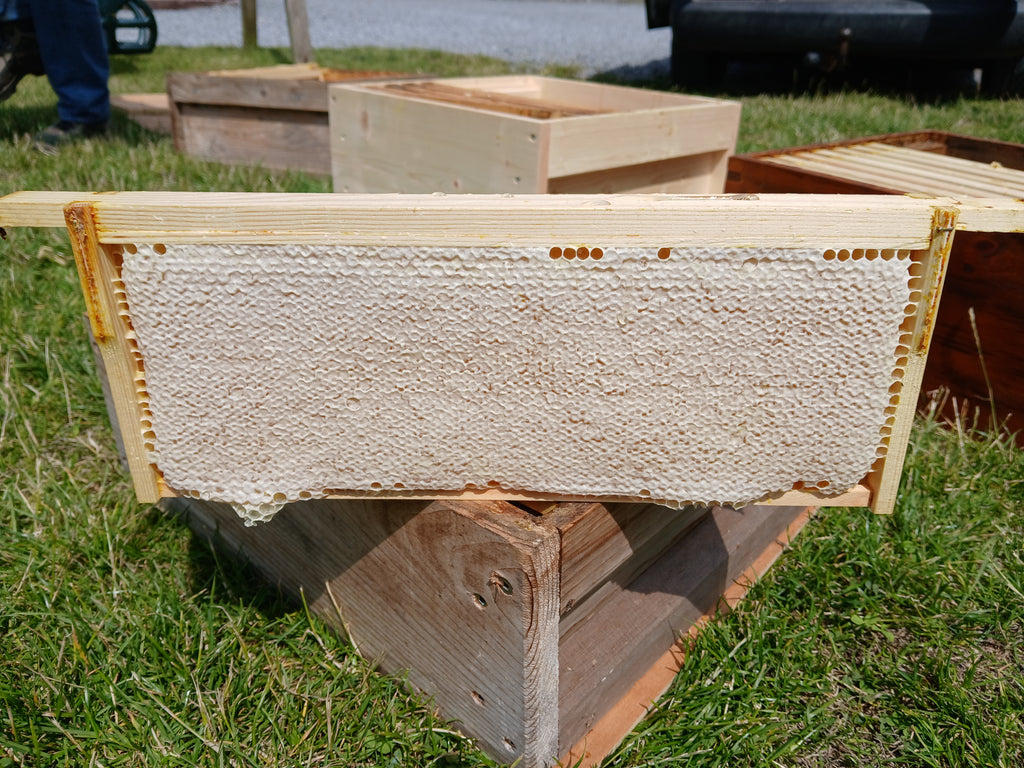 Natural Irish honey